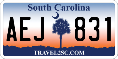 SC license plate AEJ831
