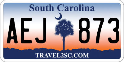 SC license plate AEJ873