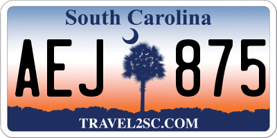 SC license plate AEJ875
