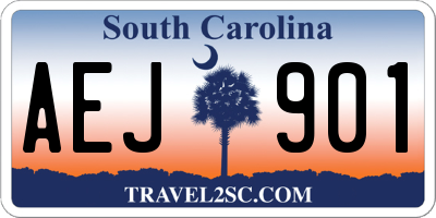 SC license plate AEJ901