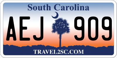 SC license plate AEJ909