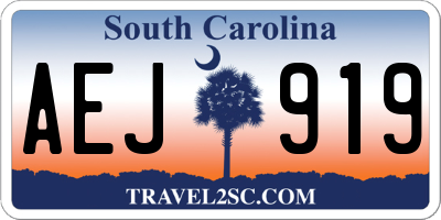 SC license plate AEJ919