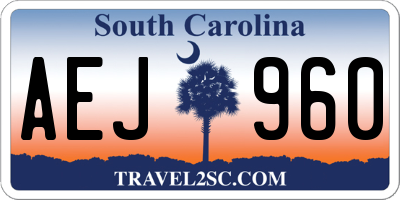 SC license plate AEJ960