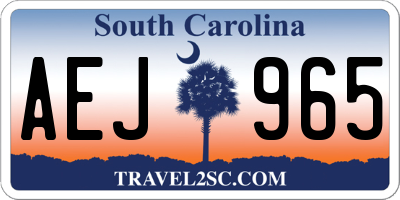SC license plate AEJ965