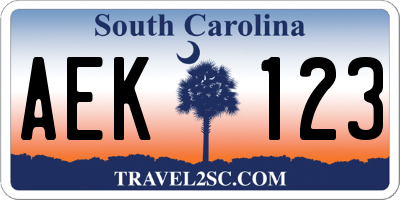 SC license plate AEK123