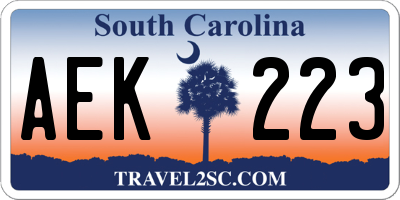 SC license plate AEK223