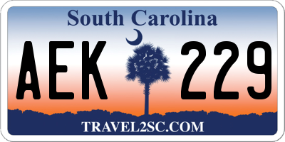 SC license plate AEK229