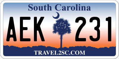 SC license plate AEK231