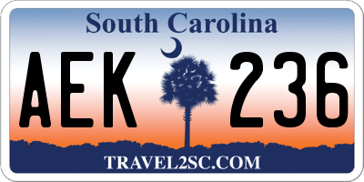 SC license plate AEK236