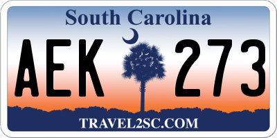 SC license plate AEK273