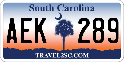SC license plate AEK289