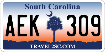 SC license plate AEK309