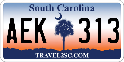 SC license plate AEK313