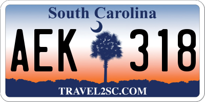 SC license plate AEK318