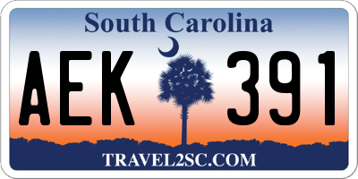 SC license plate AEK391