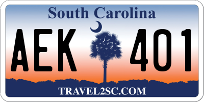 SC license plate AEK401