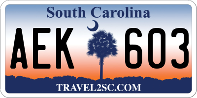 SC license plate AEK603