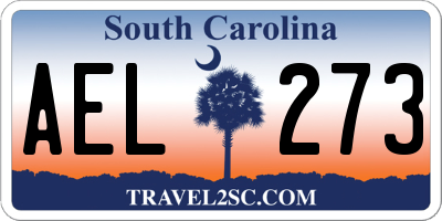 SC license plate AEL273