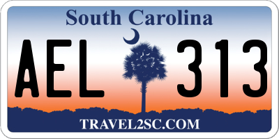 SC license plate AEL313