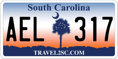 SC license plate AEL317