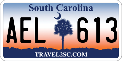 SC license plate AEL613