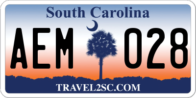 SC license plate AEM028