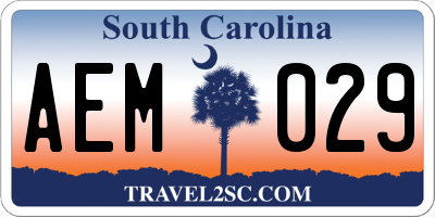 SC license plate AEM029