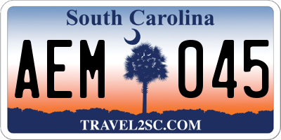 SC license plate AEM045