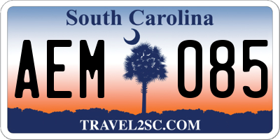 SC license plate AEM085