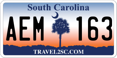 SC license plate AEM163