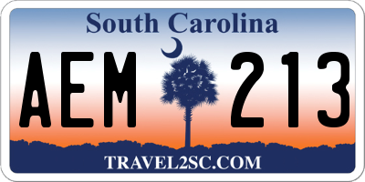 SC license plate AEM213
