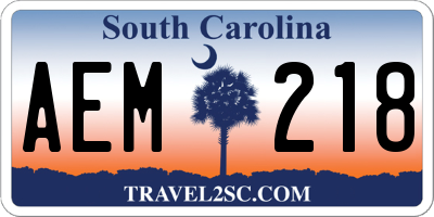 SC license plate AEM218