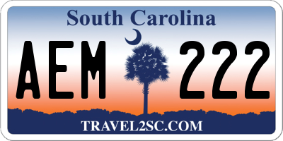 SC license plate AEM222
