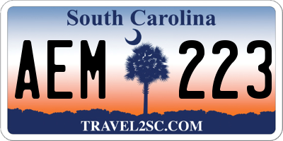SC license plate AEM223