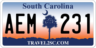 SC license plate AEM231