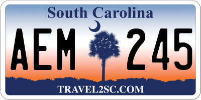 SC license plate AEM245