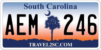 SC license plate AEM246