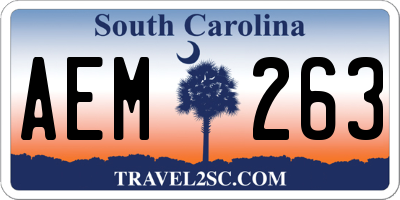SC license plate AEM263