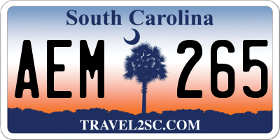 SC license plate AEM265