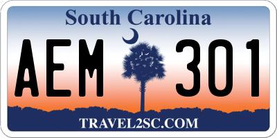 SC license plate AEM301
