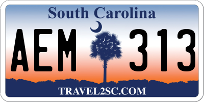 SC license plate AEM313