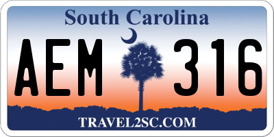 SC license plate AEM316