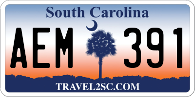 SC license plate AEM391
