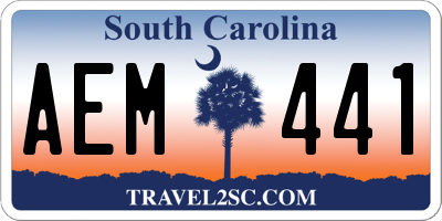 SC license plate AEM441