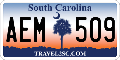 SC license plate AEM509