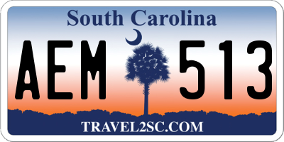 SC license plate AEM513