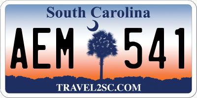SC license plate AEM541