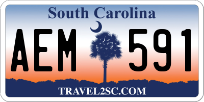 SC license plate AEM591