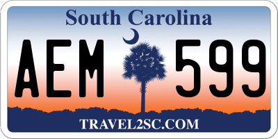 SC license plate AEM599