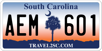 SC license plate AEM601